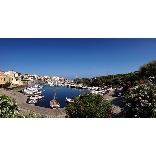 照片 意大利(Italy) 撒丁岛(Sardinia) 猎鹰角(Capo del Falcone) 2015-06 52