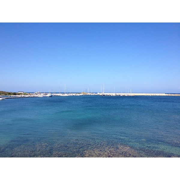 照片 意大利(Italy) 撒丁岛(Sardinia) 猎鹰角(Capo del Falcone) 2015-06 24