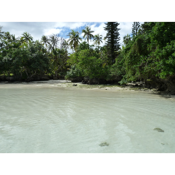 照片 新喀里多尼亚(New Caledonia) 利富岛(Lifou) 海龟湾(Baie des tortues) 2010-05 38