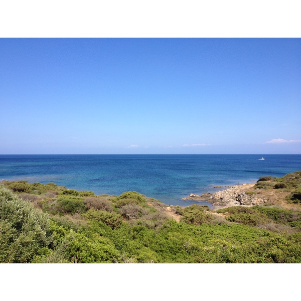 照片 意大利(Italy) 撒丁岛(Sardinia) 猎鹰角(Capo del Falcone) 2015-06 15