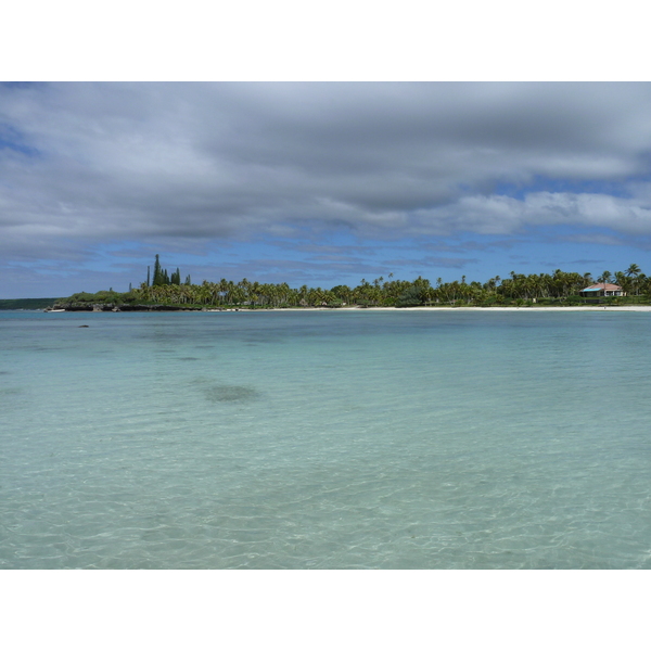照片 新喀里多尼亚(New Caledonia) 利富岛(Lifou) 海龟湾(Baie des tortues) 2010-05 20