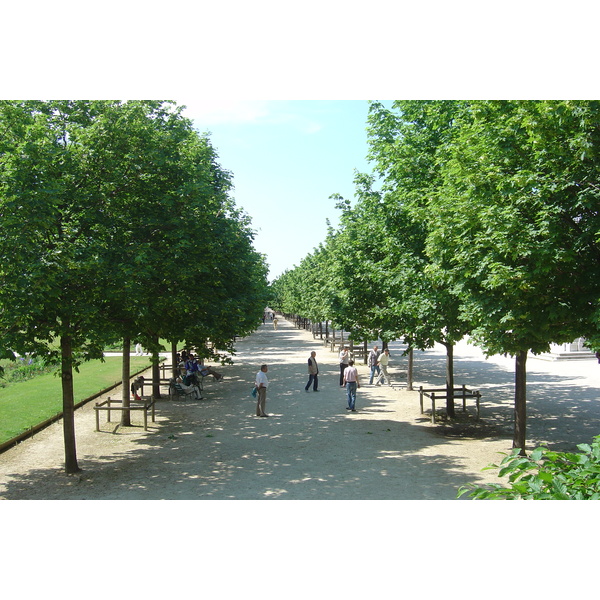 照片 法国(France) 巴黎(Paris) 杜乐丽花园(Garden of Tuileries) 2007-05 286