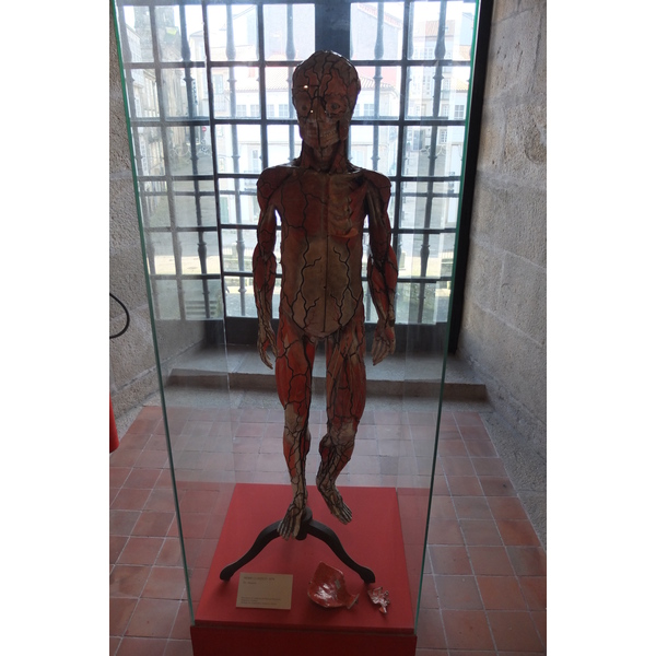 照片 西班牙(Spain) 圣地亚哥-德孔波斯特拉(Santiago de Compostela) 2013-01 41