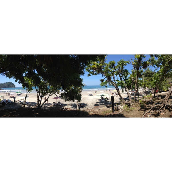 照片 哥斯达黎加(Costa Rica) 曼努埃尔安东尼奥(Manuel Antonio) 2015-03 501