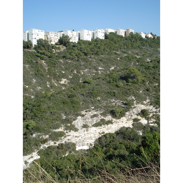 照片 以色列(Israel) 海法(Haifa) 卡梅尔(Carmel) 2006-12 12
