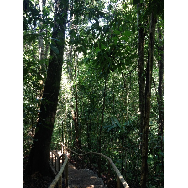 照片 哥斯达黎加(Costa Rica) 曼努埃尔安东尼奥(Manuel Antonio) 2015-03 123