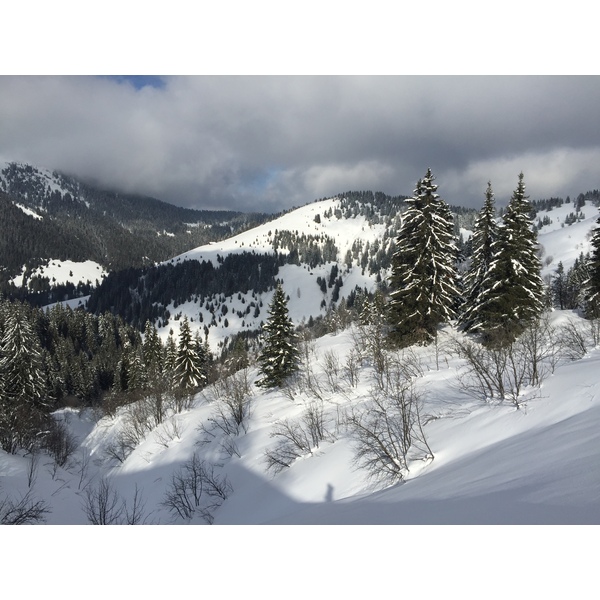 照片 法国(France) 梅杰夫(Megeve) 2016-02 95
