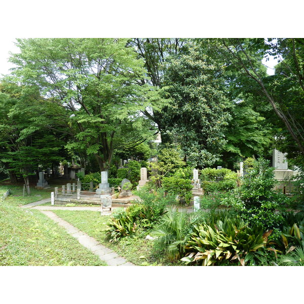 照片 日本(Japan) 东京(Tokyo) 表参道(Omotesando) 2010-06 17