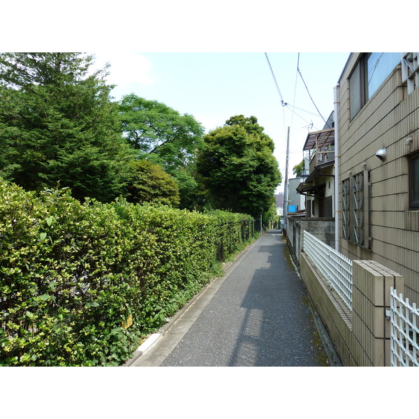 照片 日本(Japan) 东京(Tokyo) 表参道(Omotesando) 2010-06 7