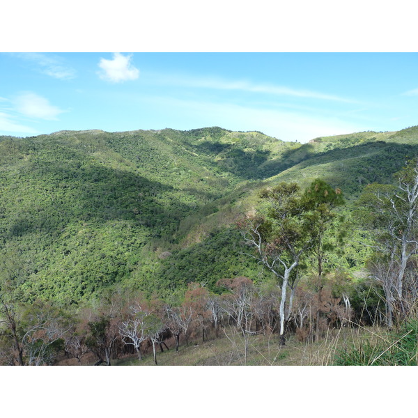 照片 新喀里多尼亚(New Caledonia) 蒂奥至卡纳拉公路(Thio to Canala road) 2010-05 69