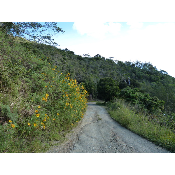 照片 新喀里多尼亚(New Caledonia) 蒂奥至卡纳拉公路(Thio to Canala road) 2010-05 63