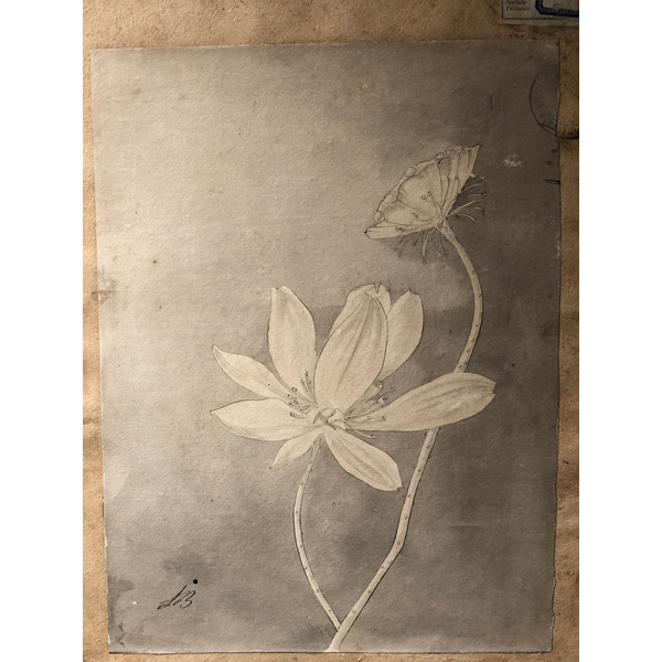 照片 意大利(Italy) 西西里岛(Sicily) 巴勒莫(Palermo) 诺曼王宫(Palazzo dei Normanni) 2020-02 43