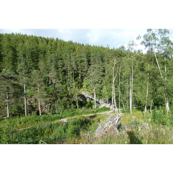 照片 英国(United Kingdom) 韦斯特罗斯(Wester Ross) 2011-07 48