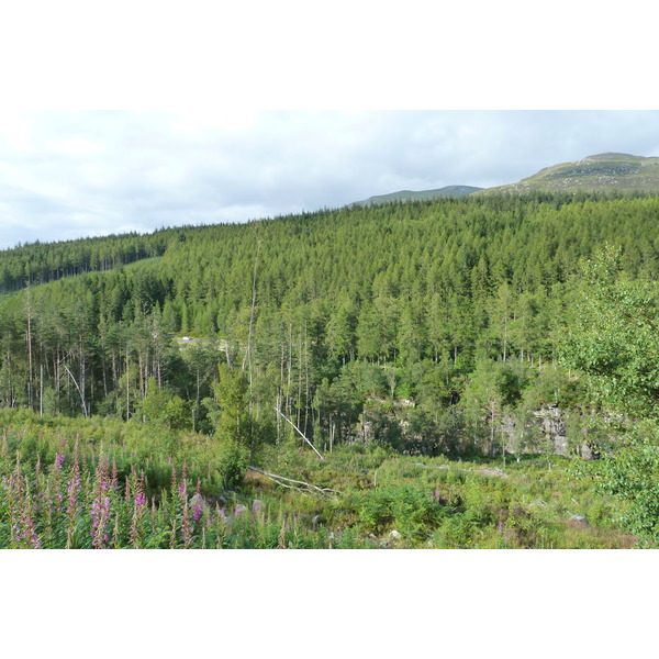 照片 英国(United Kingdom) 韦斯特罗斯(Wester Ross) 2011-07 36