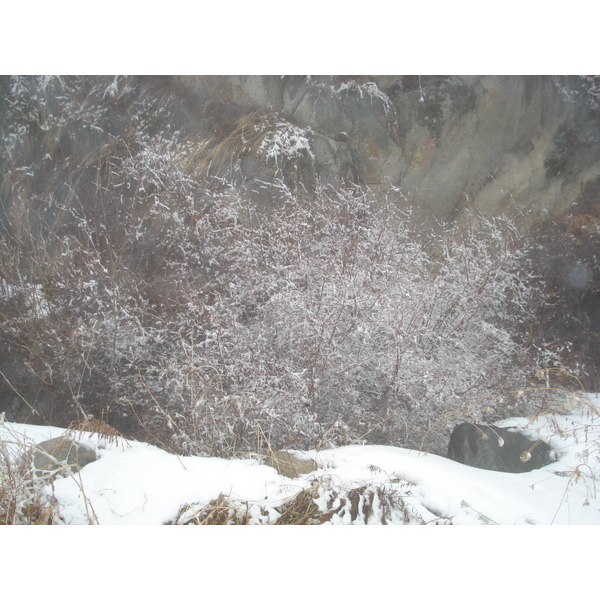 照片 哈萨克斯坦(Kazakhstan) 伊犁阿拉套国家公园(Ile Alatau National Park) 2007-03 2