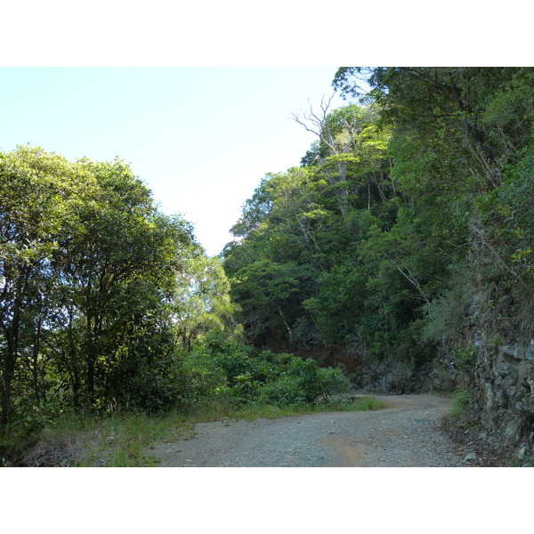 照片 新喀里多尼亚(New Caledonia) 蒂奥至卡纳拉公路(Thio to Canala road) 2010-05 41
