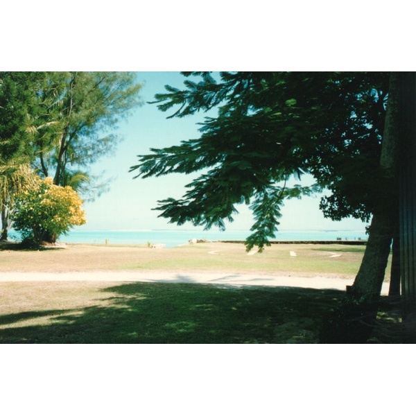 照片 波利尼西亚(Polynesia) 莫雷阿岛(Moorea) 1993-04 5