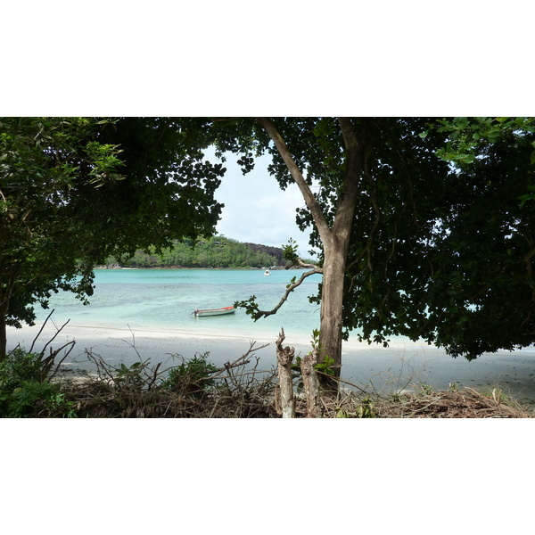 照片 塞舌尔(Seychelles) 马埃岛(Mahe) 2011-10 48