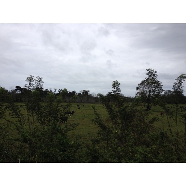 照片 巴拿马(Panama) 戴维至博卡斯德尔托罗(David to Bocas del toro) 2015-03 73