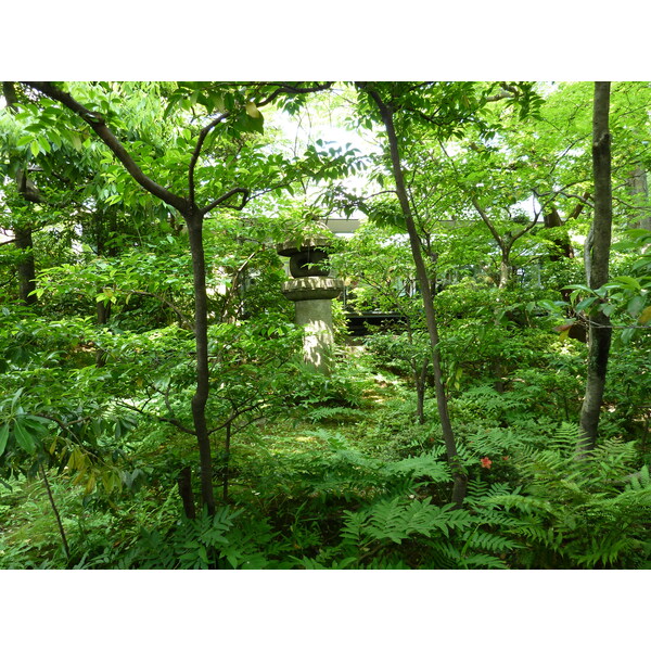 照片 日本(Japan) 东京(Tokyo) 根津美术馆(Nezu Museum) 2010-06 69