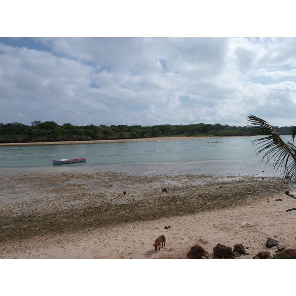 照片 斐济(Fiji) 楠迪至纳塔多拉公路(Nadi to Natadola road) 2010-05 70