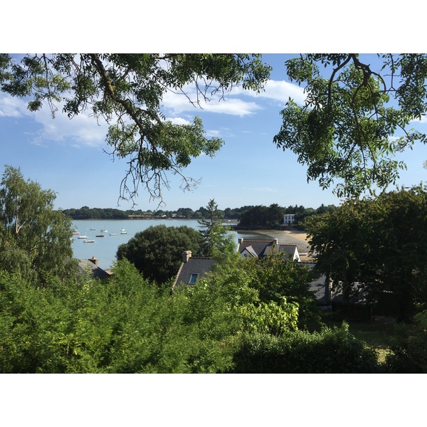 照片 法国(France) 僧侣岛(Ile-aux-Moines) 2016-08 64