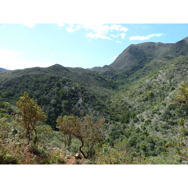 照片 新喀里多尼亚(New Caledonia) 蒂奥至卡纳拉公路(Thio to Canala road) 2010-05 40