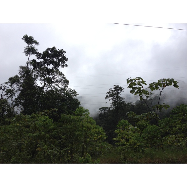 照片 巴拿马(Panama) 戴维至博卡斯德尔托罗(David to Bocas del toro) 2015-03 56