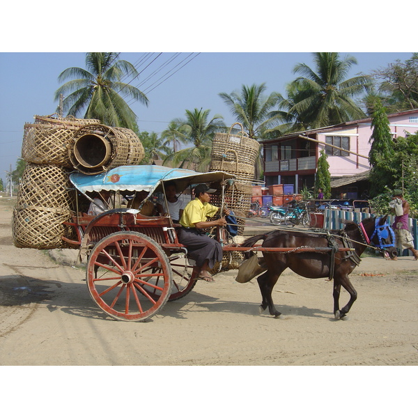 照片 缅甸(Myanmar) 土瓦(Dawei (TAVOY)) 2005-01 48