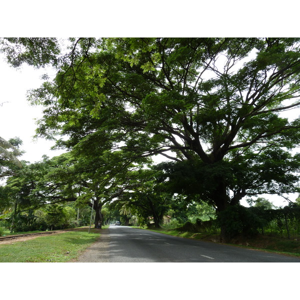 照片 斐济(Fiji) 劳托卡(Lautoka) 2010-05 11