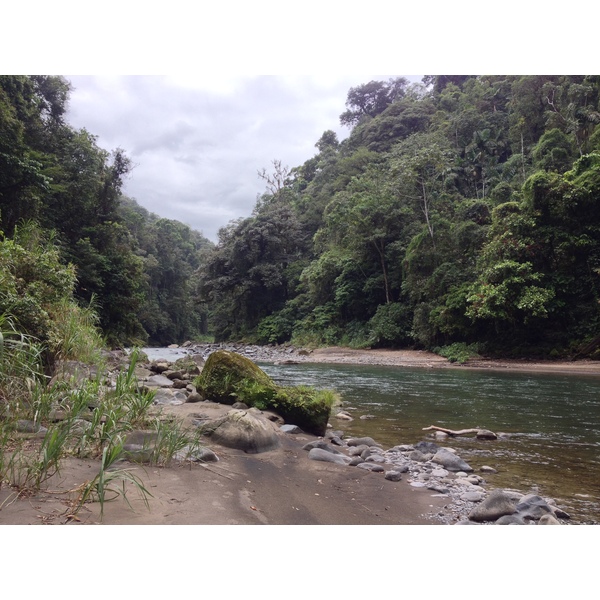 照片 哥斯达黎加(Costa Rica) 帕夸雷河(Pacuare River) 2015-03 152