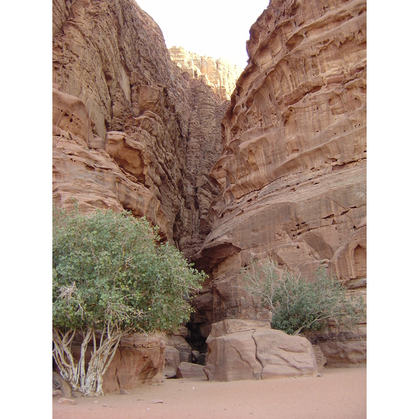照片 约旦(Jordan) 瓦迪拉姆沙漠(Wadi Rum Desert) 2004-10 7