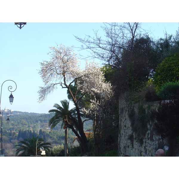照片 法国(France) 穆然(Mougins) 2006-02 36