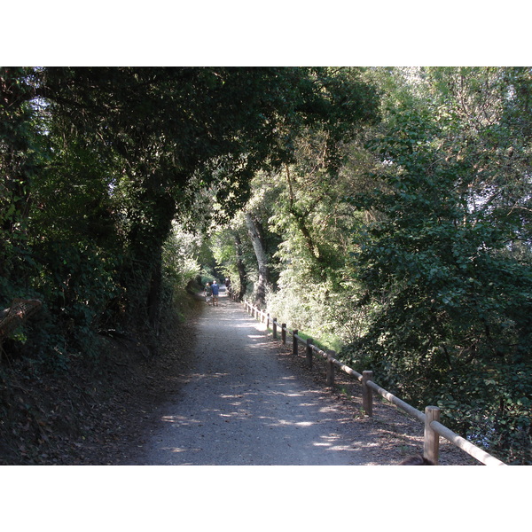 照片 法国(France) 维尔讷夫卢贝(Villeneuve Loubet) 2006-10 19