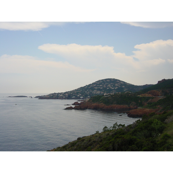 照片 法国(France) 埃斯特雷尔山(Esterel) 2003-05 11