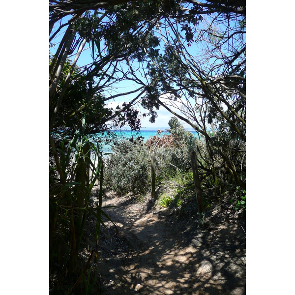 照片 法国(France) 波克罗勒岛(Porquerolles Island) 库尔塔德海滩(Courtade beach) 2008-05 14