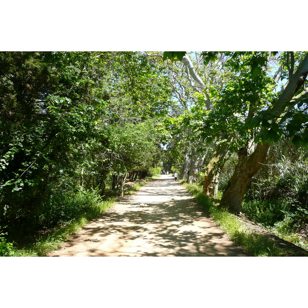 照片 法国(France) 波克罗勒岛(Porquerolles Island) 库尔塔德平原(Plaine de la courtade) 2008-05 41