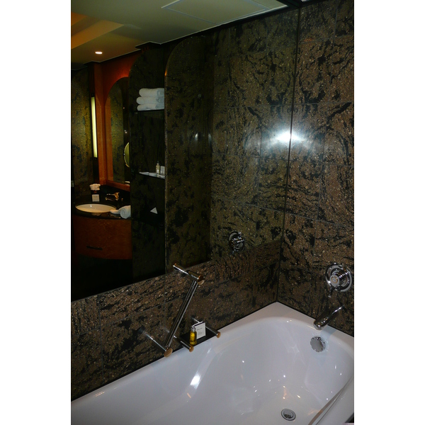 照片 南非(South Africa) 约翰内斯堡(Johannesburg) 洲际酒店(Intercontinental Hotel) 2008-09 27