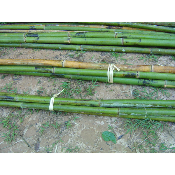照片 泰国(Thailand) 邦玛帕(Pang Mapha) 2005-12 58