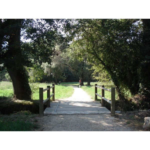 照片 法国(France) 维尔讷夫卢贝(Villeneuve Loubet) 沃格勒尼耶公园(Parc de Vaugrenier) 2006-09 1