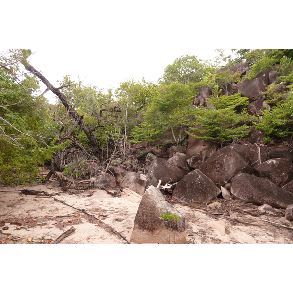 照片 塞舌尔(Seychelles) 居里厄斯岛(Curieuse) 2011-10 25
