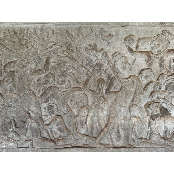 照片 柬埔寨(Cambodia) 暹粒(Siem Reap) 吴哥窟(Angkor Wat) 2023-01 20