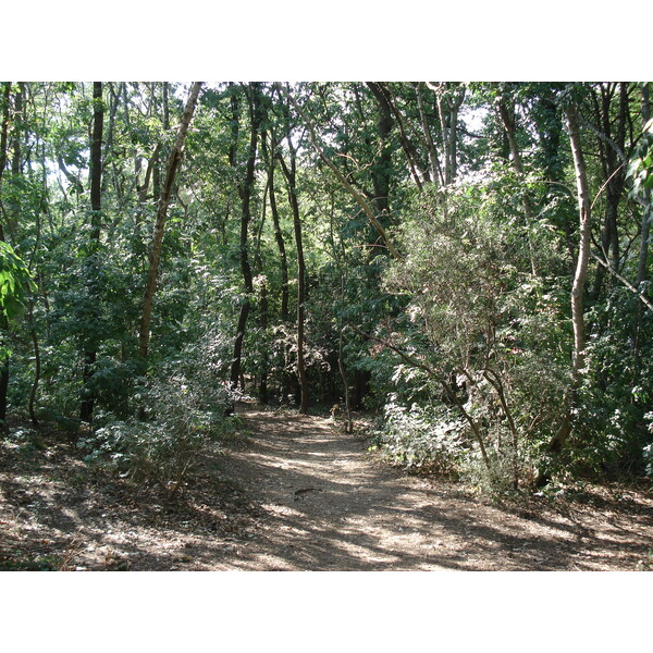 照片 法国(France) 维尔讷夫卢贝(Villeneuve Loubet) 沃格勒尼耶公园(Parc de Vaugrenier) 2006-09 19