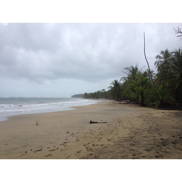 照片 哥斯达黎加(Costa Rica) 塔拉曼卡旧港(Puerto Viejo de Talamanca) 2015-03 62