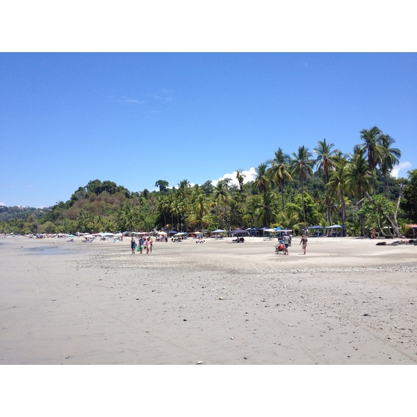 照片 哥斯达黎加(Costa Rica) 曼努埃尔安东尼奥(Manuel Antonio) 2015-03 439