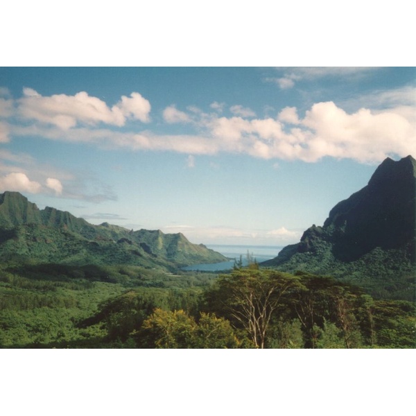 照片 波利尼西亚(Polynesia) 1993-04 79