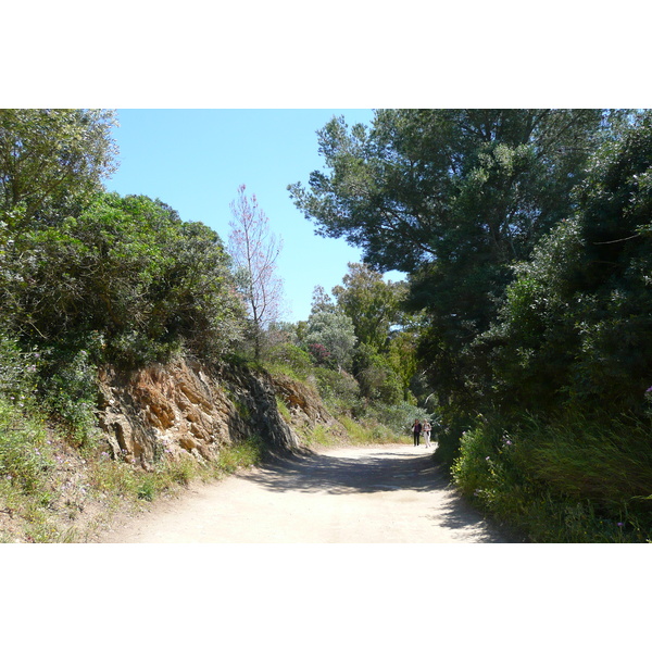 照片 法国(France) 波克罗勒岛(Porquerolles Island) 贝阿略角(Bearlieu Point) 2008-05 12