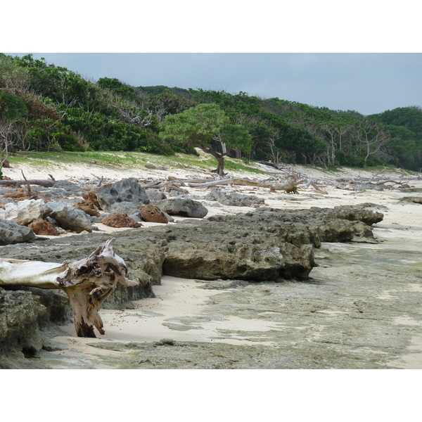 照片 斐济(Fiji) 楠迪至纳塔多拉公路(Nadi to Natadola road) 2010-05 46