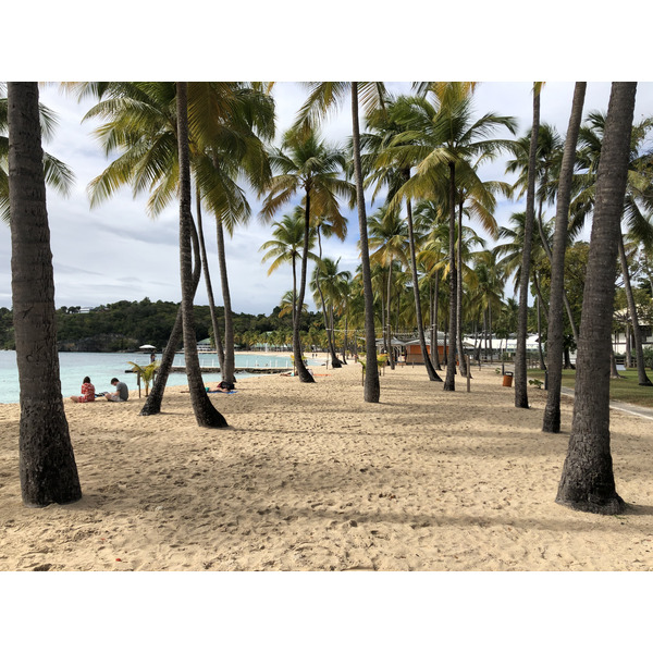 照片 瓜德罗普(Guadeloupe) 卡拉维尔海滩(La Caravelle Beach) 2021-02 128