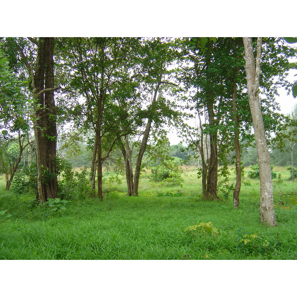 照片 泰国(Thailand) 考拉(Khao Lak) 邦萨海滩(Bang Sak Beach) 2005-12 68